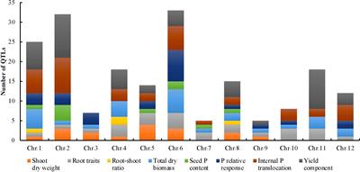 A meta-QTL analysis highlights genomic hotspots associated with phosphorus use efficiency in rice (Oryza sativa L.)